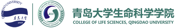 全讯新2网官网